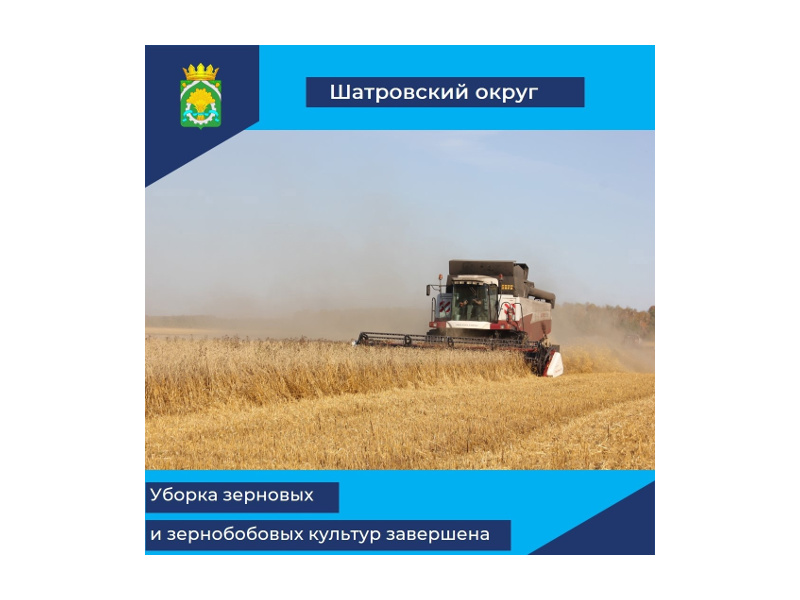 В Шатровском муниципальном округе завершили уборочную кампанию зерновых и зернобобовых культур.