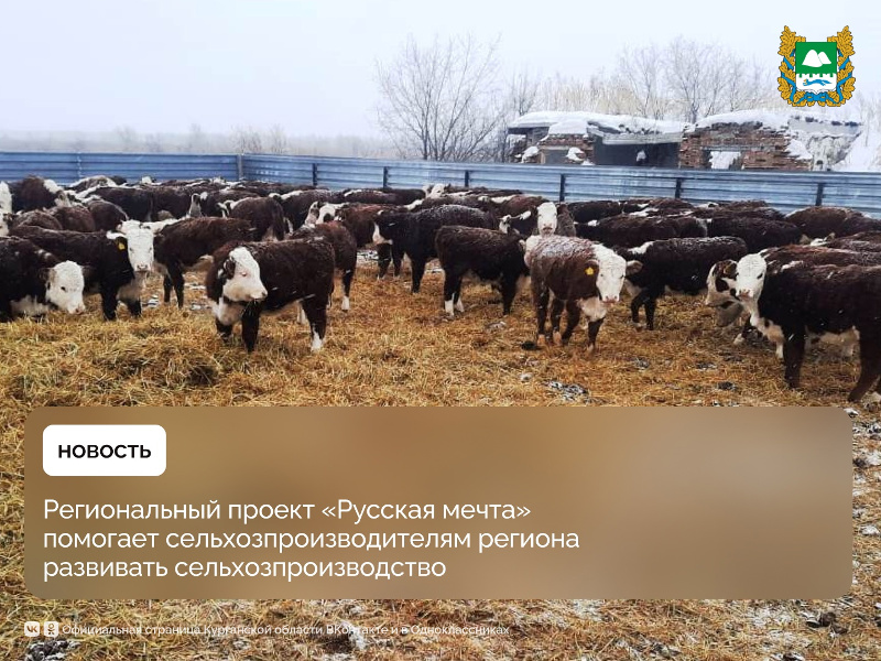 Региональный проект «Русская мечта», инициированный губернатором Курганской области Вадимом Шумковым, набирает все большую популярность.