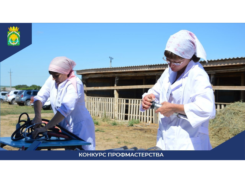 В Далматовском округе проходит конкурс профмастерства среди операторов машинного доения коров.