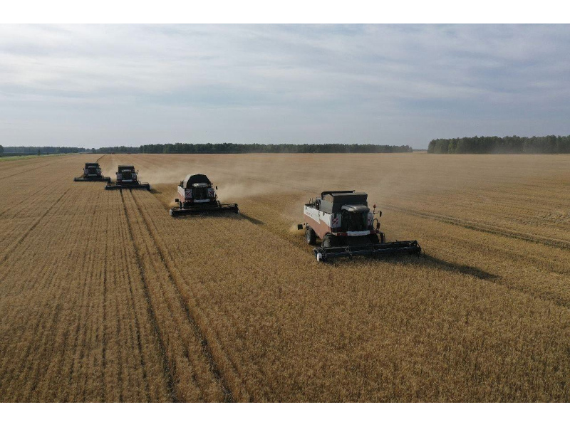 Губернатор Вадим Шумков поздравил аграриев Мокроусовского округа – они первые в регионе завершили уборку зерновых.