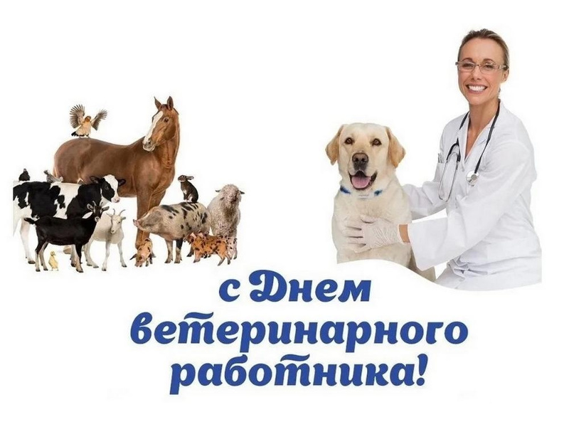 Поздравление Главы Шатровского муниципального округа Л.А. Рассохина с Днём ветеринарного работника