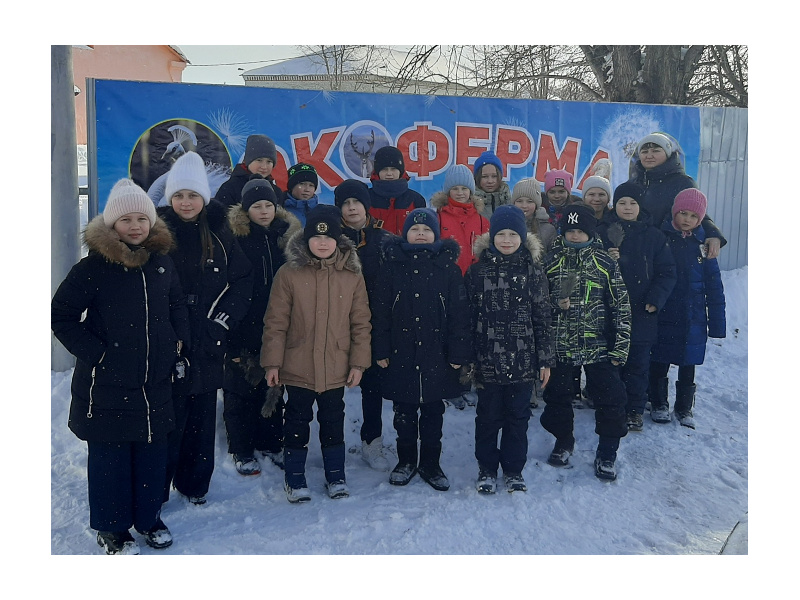 8 февраля состоялась экскурсия 4А класса Шатровской школы на Экоферму.