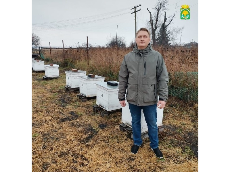 Из любителя в профессионалы.