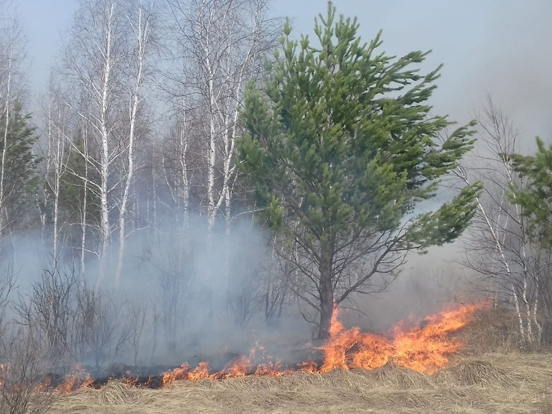25 апреля со стороны Свердловской области в Шатровский округ пришел лесной пожар