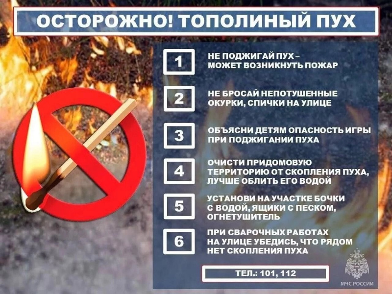 Сотрудники МЧС России предупреждают жителей об опасности поджогов тополиного пуха, который вспыхивает моментально и может перенести огонь на ближайшие жилые дома, постройки и припаркованные рядом автомобили.