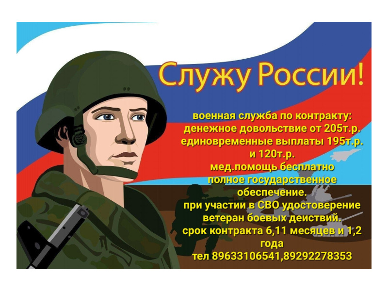 Военная служба по контракту в вооруженных силах Российской Федерации.