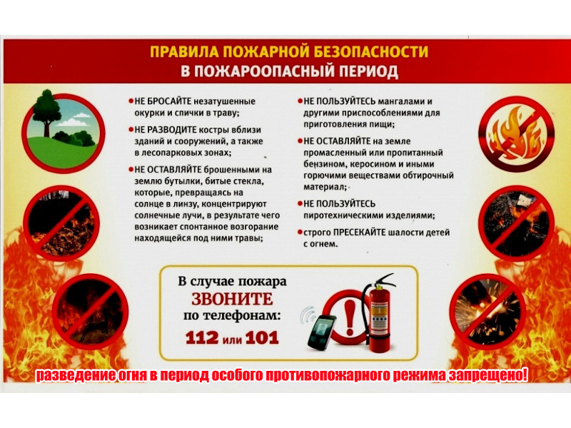Правила пожарной безопасности в пожароопасный период.