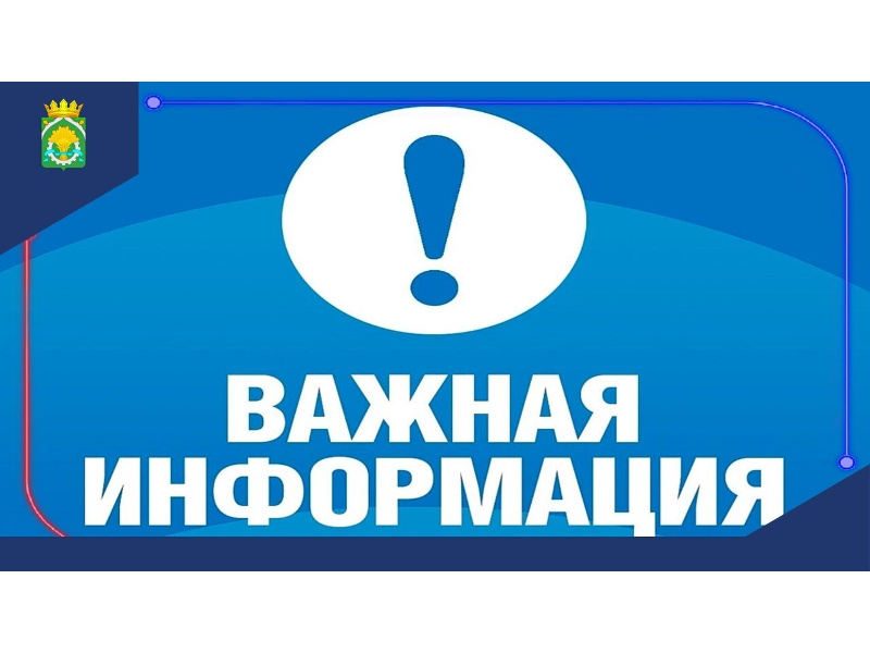 Администрация Шатровского муниципального округа обращается к владельцам собак: не выпускайте питомцев для их самовольного выгула.