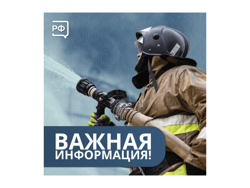 В Зауралье установлены 46 виновников крупных ландшафтных пожаров, в отношении поджигателей возбуждено 7 уголовных дел.