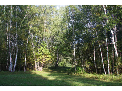 Дворецкий сад.