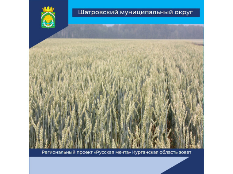 В прошлом году в Курганской области 71 человек осуществили «Русскую мечту» - с помощью мер поддержки регионального проекта они получили грант на развитие собственного дела в аграрном секторе региона.