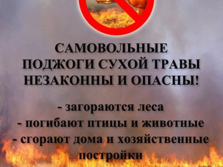 НЕ ПОДЖИГАЙ СУХУЮ ТРАВУ!. НЕ ПОДЖИГАЙ СУХУЮ ТРАВУ!.