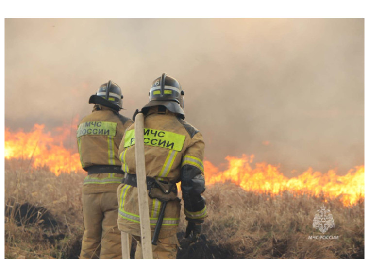 В Зауралье зафиксированы первые в текущем году ландшафтные пожары. Сотрудники МЧС напоминают об ответственности за нарушение правил пожарной безопасности.