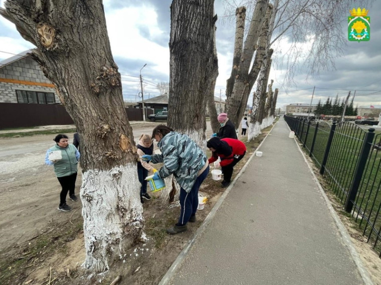 Сделаем село чище. Сделаем село чище.