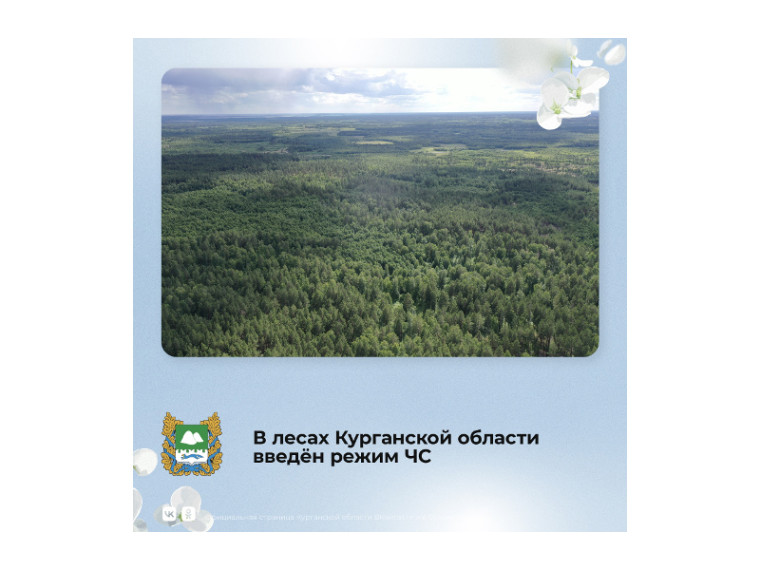 В лесах Курганской области с 28 апреля введен режим ЧС.