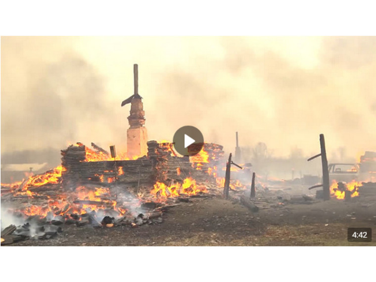 Режим ЧС и сгоревшие питомцы: огненные выходные в Курганской области.