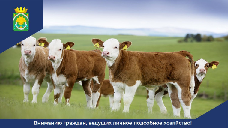 ВНИМАНИЮ ГРАЖДАН, ВЕДУЩИХ ЛИЧНОЕ ПОДСОБНОЕ ХОЗЯЙСТВО!. ВНИМАНИЮ ГРАЖДАН, ВЕДУЩИХ ЛИЧНОЕ ПОДСОБНОЕ ХОЗЯЙСТВО!.