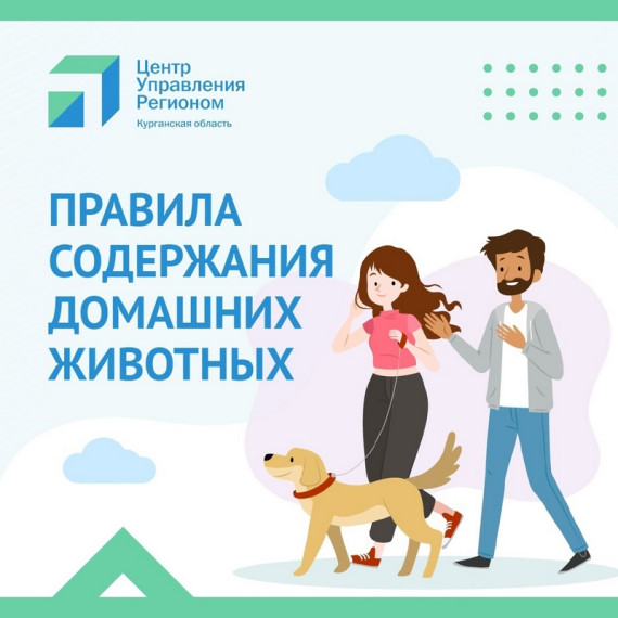 Правила содержания домашних животных. Правила содержания домашних животных.