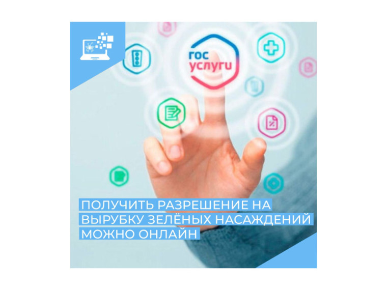 Жители Курганской области могут в электронной форме получить разрешение на право вырубки зелёных насаждений. Жители Курганской области могут в электронной форме получить разрешение на право вырубки зелёных насаждений.