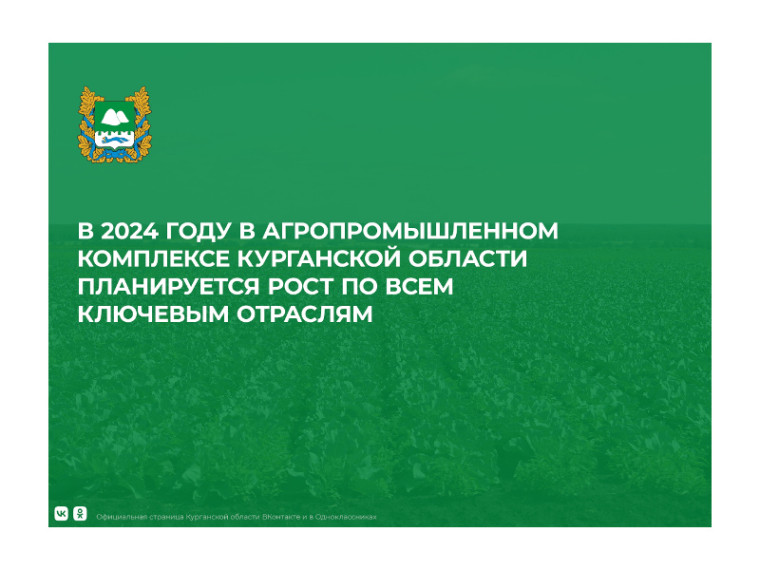 В 2024 году Курганская область продолжит наращивать объёмы производства сельхозпродукции и темпы развития АПК.