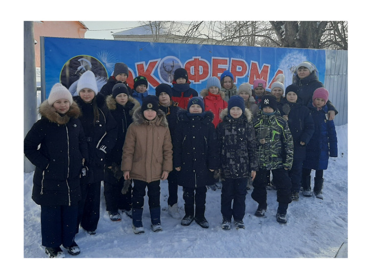8 февраля состоялась экскурсия 4А класса Шатровской школы на Экоферму. 8 февраля состоялась экскурсия 4А класса Шатровской школы на Экоферму.