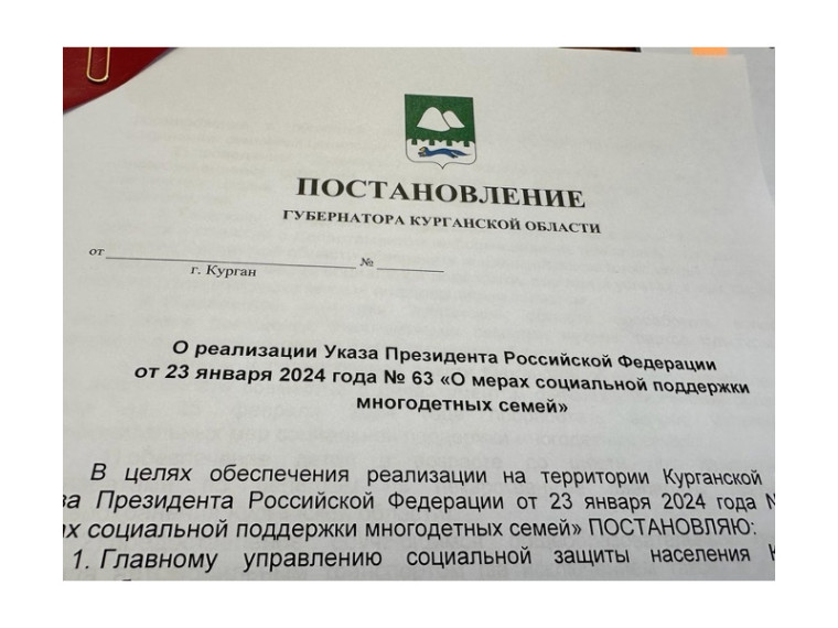 В поддержку инициатив Президента России Владимира Путина в Курганской области планируют ввести новые меры поддержки многодетных семей.