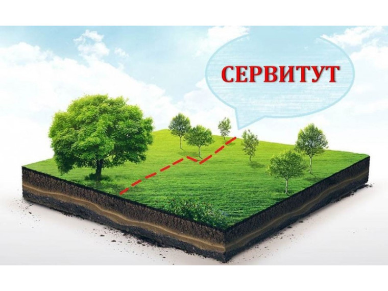 Установление сервитута (публичного сервитута). Установление сервитута (публичного сервитута).