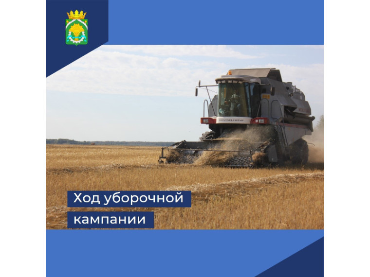 Полным ходом идет уборка урожая в хозяйствах Шатровского муниципального округа.