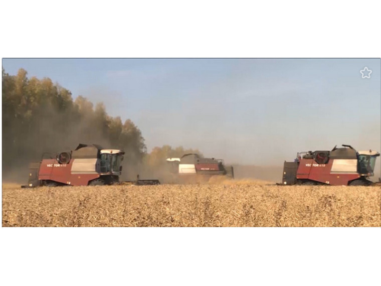 Шатровский муниципальный округ в новостях. Запись от 23.09.2022 г.. Шатровский муниципальный округ в новостях. Запись от 23.09.2022 г..