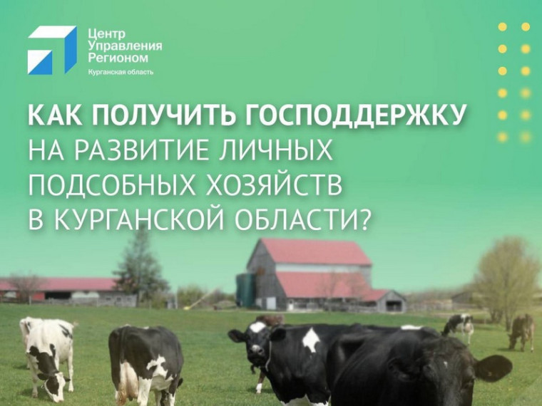 Как получить господдержку на развитие личных подсобных хозяйств Курганской области.