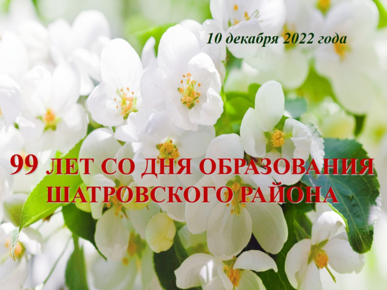 Поздравление Главы Шатровского муниципального округа Л.А. Рассохина С 99-летием со дня образования Шатровского района.