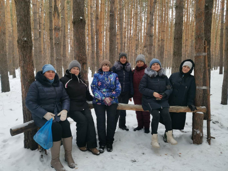 Прогулка в зимний лес.