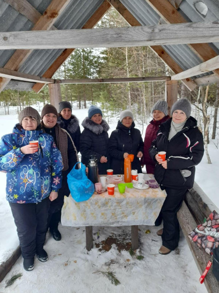 Прогулка в зимний лес.