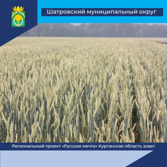 В прошлом году в Курганской области 71 человек осуществили «Русскую мечту» - с помощью мер поддержки регионального проекта они получили грант на развитие собственного дела в аграрном секторе региона.
