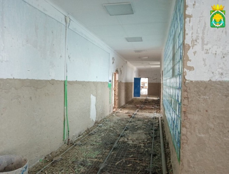 В Мехонской и Самохваловской школах приступили к капитальному ремонту зданий.