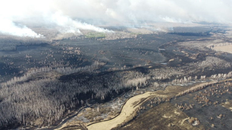 25 апреля со стороны Свердловской области в Шатровский округ пришел лесной пожар.