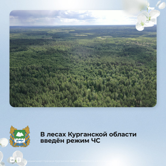 В лесах Курганской области с 28 апреля введен режим ЧС.