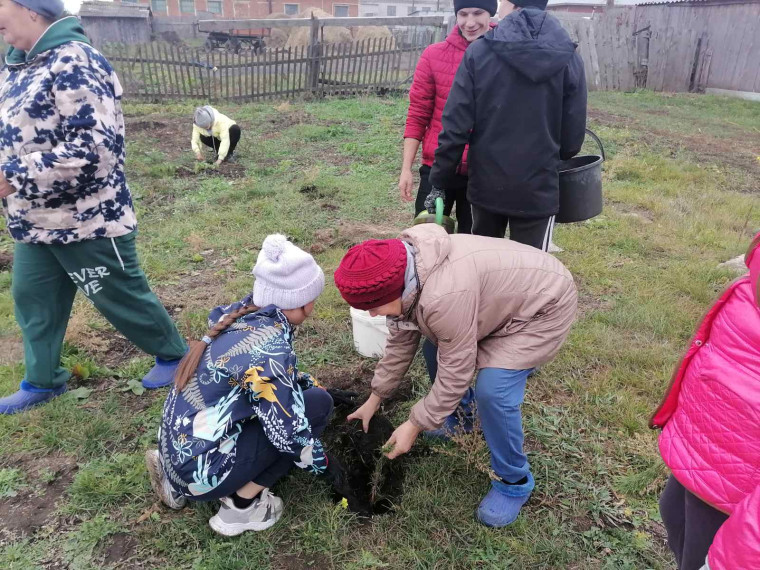 В рамках мероприятий празднования 100-летия Шатровского района в селе Терсюкское заложили сосновую аллею в честь памятной даты.